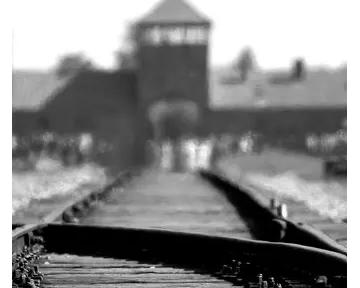 Le corps à l'épreuve d'Auschwitz