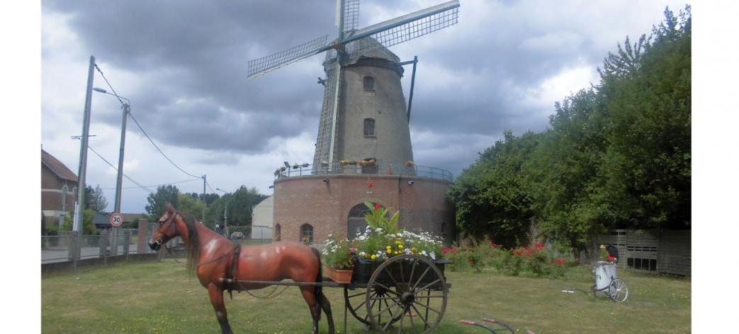 tour du monde moulin blanc