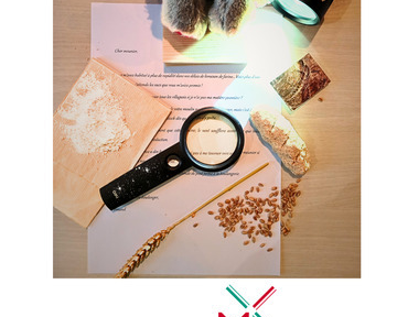 Stage Mini : à la recherche de l'Épi d'Or !