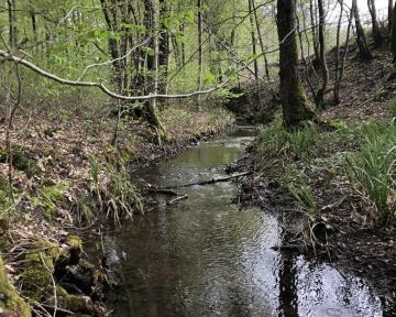 Patrimoine naturel en danger de la région