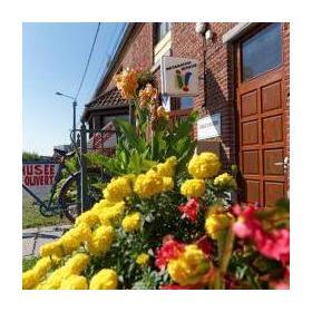 Muséam Infos n°2 du 25 octobre 2020