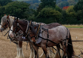 Écomusée Les racines de la vie rurale