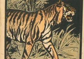 Collection de couvertures de cahiers