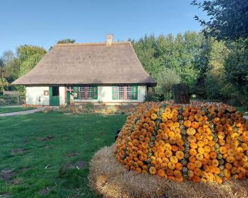 Fête de la citrouille