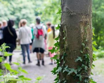 Sur les pas de Mme de Clercq 