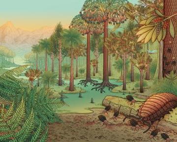 À la recherche des mondes disparus des Hauts-de-France