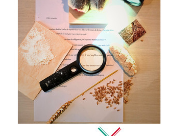 Stage Mini : à la recherche de l'Épi d'Or !