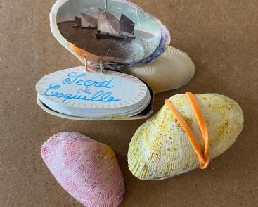 JEU(X)DIS D'ÉTÉ | Secrets de coquilles