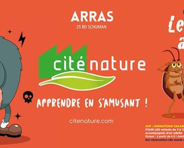 Les Mal Aimés
