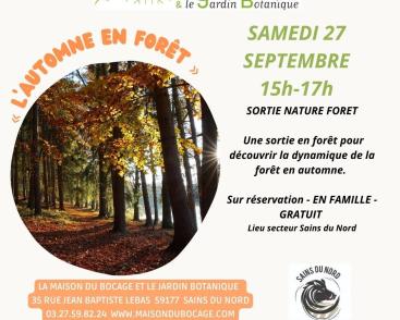 L'automne en forêt