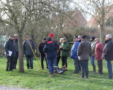 Stage de taille des fruitiers