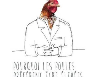 Pourquoi les poules préfèrent être élevées en batterie ?