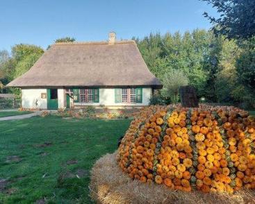 Fête de la citrouille