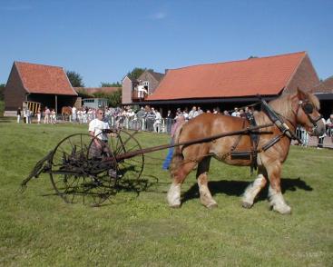 FETE DU CHEVAL DE TRAIT 