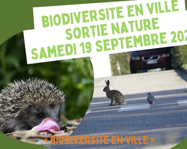  Biodiversité en ville