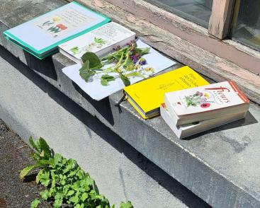 Les sorties Naturellement ?