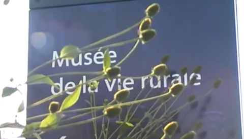 Impossible de lire la video